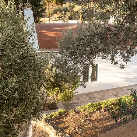 Boutique * Μυρτιές