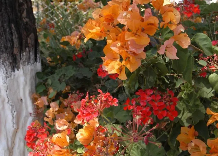 شقة Boutique Myrties